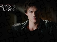 Vampire Diaries, Damon Salvatore