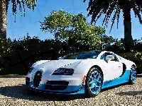 Bugatti Veyron, Palmy