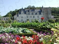 Villandry, Ogród, Zamek, Francja