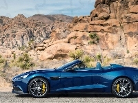 Volante, Rośliny, Aston Martin, Vanquish, Skały