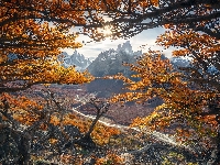 Drzewa, Argentyna, Rzeka Rio de las Vueltas, Promienie słońca, Szczyt Fitz Roy, Patagonia, Park Narodowy Los Glaciares, Gałęzie, Góry, Jesień