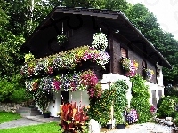 W Kwiatach, Dom, Ogród
