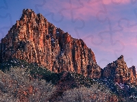 Park Narodowy Zion, Góry, Krzewy, Stany Zjednoczone, Skały, Góra Watchman, Stan Utah