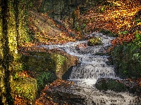 Liście, Wodospad, Jesień, Matlock, Las, Potok, Kolorowe, Drzewa, Lumsdale Waterfall, Skały, Anglia