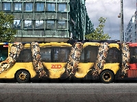 Drzewa, Autobus, Ulica, Wąż
