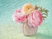 Wazonik, Begonia, Kwiaty