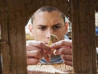 Wentworth Miller, Prison Break, projekt