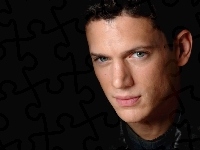 Wentworth Miller, niebieskie oczy