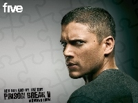 Wentworth Miller, niebieskie oczy