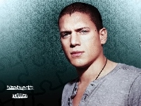 Wentworth Miller, szara koszulka