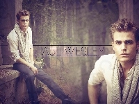 Paul Wesley, Szal