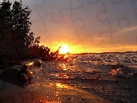 Fala, Widok, Plaża