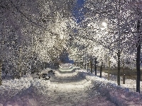 Wieczór, Zima, Park, Ławki
