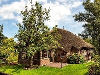 Domek, Wiejski, Ogródek