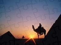 wielbłądy, Egipt, Piramidy, Zachód Słońca