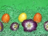 Jajka, Wielkanocne, Tulipany
