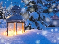 Śnieg, Lampion, Świerki, Zima