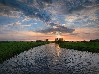 Zachód słońca, Wieś De Hoef, Drzewa, Holandia, Rzeka Kromme Mijdrecht, Chmury