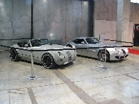 Wystawa, Wiesmann MF3