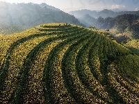 Region Yen Bai, Wietnam, Mgła, Wzgórze, Pola ryżowe, Góry, Mu Cang Chai, Tarasy