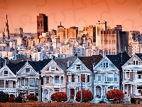 Miasta, Wieżowce, Kalifornia, Domy, Panorama, San Francisco
