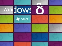 Windows 8