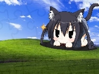 Windows XP, Chibi, K-On!