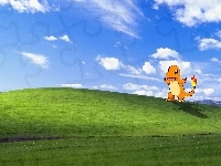 XP, Windows, Pokemon