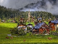 Wioska, Krowy, Austria , Gosau, Domy