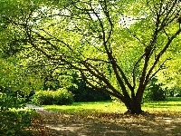 Wiosna, Park