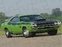 Wlot, Zielony, Dodge Challenger, Maska