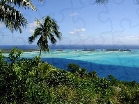 Woda, Zieleń, Polinezja Francuska, Bora Bora, Palmy
