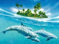 Woda, Cztery, Delfiny, Wyspa