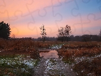 Droga, Woda, Ścieżka, Śnieg., Łąka