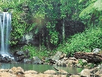Kamienie, Wodospad, Las