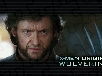 Wolverine Origins