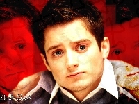 Elijah Wood, Twarz