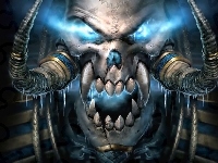 World Of Warcraft, Skull