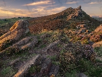 Rośliny, Wzgórze, Skały, Wrzos
