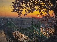 Wschód słońca, Drzewo, Węgry, Most Wolności, Budapeszt, Dunaj, Budowle, Rzeka