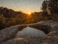 Wschód słońca, Czechy, Las