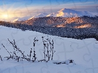 Las, Wschód słońca, Ukraina, Góry Karpaty, Zima