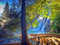 Las, Wschód Słońca, HDR, Kłody, Wodospad, Rzeka, USA
