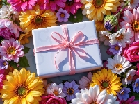 Kwiaty, Różowa, Prezent, Wstążka, Gerbery, Kolorowe