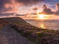 Wybrzeże, Hrabstwo Devon, Wrzos, Anglia, Morze, Wzgórze Hangman, Zachód słońca, Wielka Brytania, Park Narodowy Exmoor, Droga
