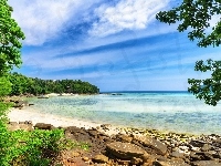Plaża, Wyspa Phi Phi, Drzewa, Tajlandia, Morze, Kamienie