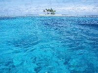 Palmy, Wyspa, Morze