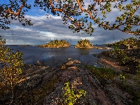 Wyspy, Karelia, Rosja, Jezioro, Wysepki, Gałęzie, Skały, Ładoga, Drzewa