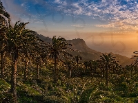 Wyspy Kanaryjskie, Hiszpania, Gomera, Drzewa, Palmy, Tazo, Góry, Zachód słońca