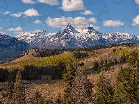 Wzgórza, Góry, Drzewa, Stany Zjednoczone, Szczyty, Absaroka Range, Wyoming